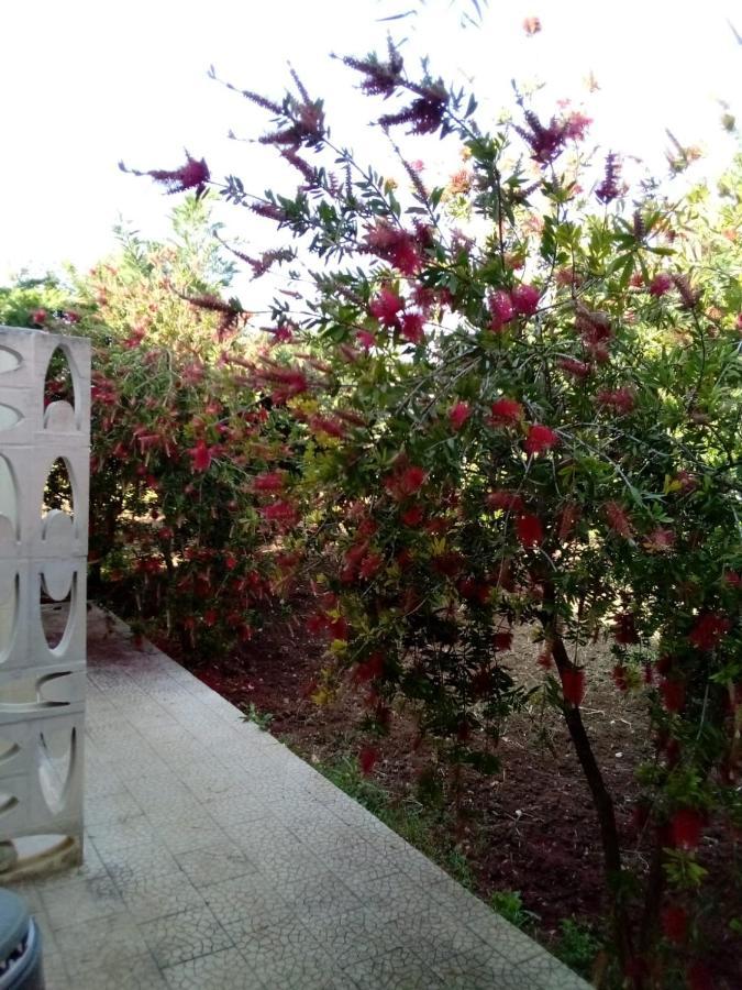 Villa Grazia Vieste Exterior foto